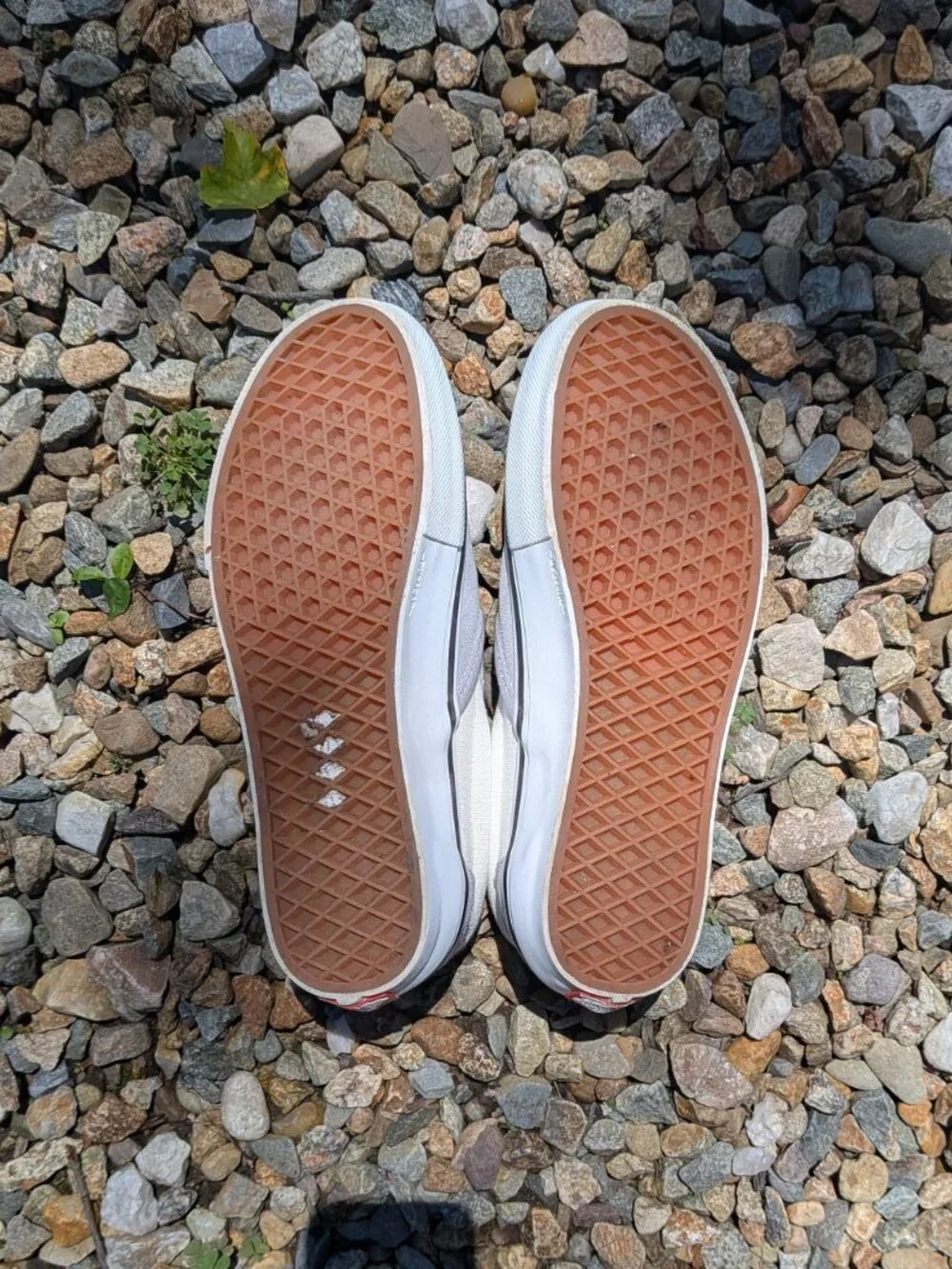 Vans Skate Slip-On Gray and Off-White